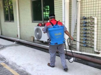 深圳臭蟲防治 工廠、宿舍、辦公室與家庭全面消殺指南